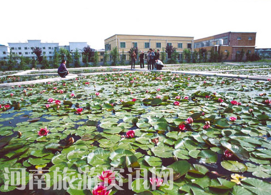 鄢陵县备战第七届花博会暨生态旅游节