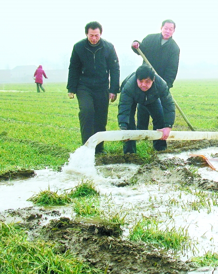 汤阴县供销合作社员工帮助农民抗旱浇麦--专题