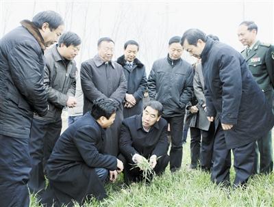 信阳市委书记王铁等市领导在息县农村检查小麦