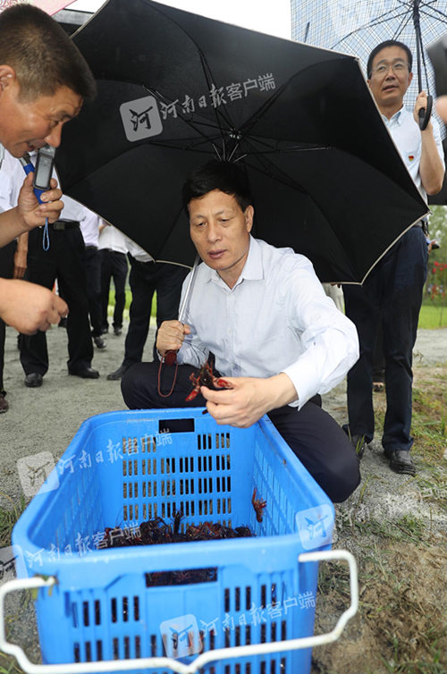 致富经龙虾养殖视频全集_致富经小龙虾_致富经小龙虾养殖视频播放