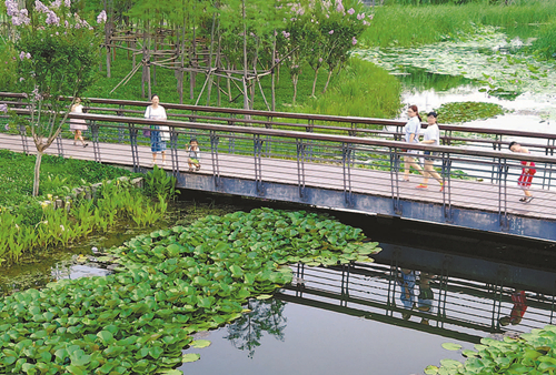 郑州市北湖湿地公园风景宜人