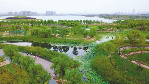 河南省人民政府门户网站 郑州市北湖湿地公园