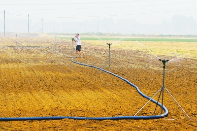 6月13日,孟州市穀旦鎮穀旦村一名村民利用節水灌溉裝置為剛種植的花生